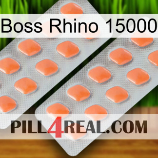 Boss Rhino 15000 27